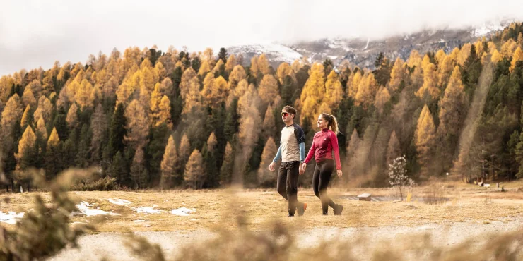 Herbstwanderung-Engadin-hftgr.jpg